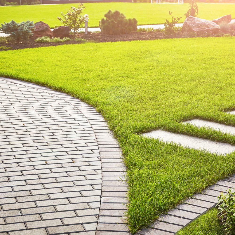 Landscaping,Of,The,Garden.,A,Tile,Path,Between,Green,Grass